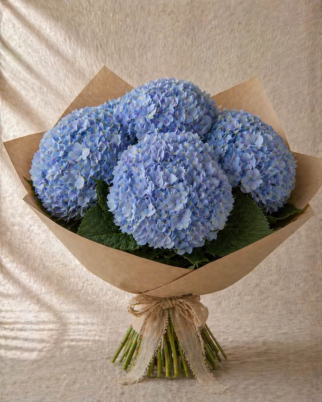 Hortensias