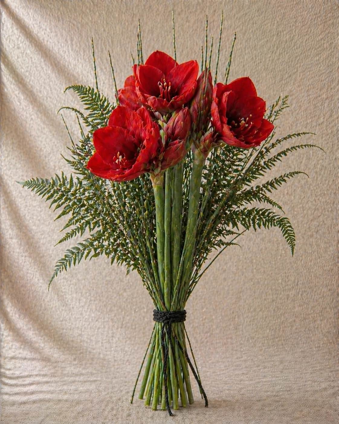 Amaryllis
