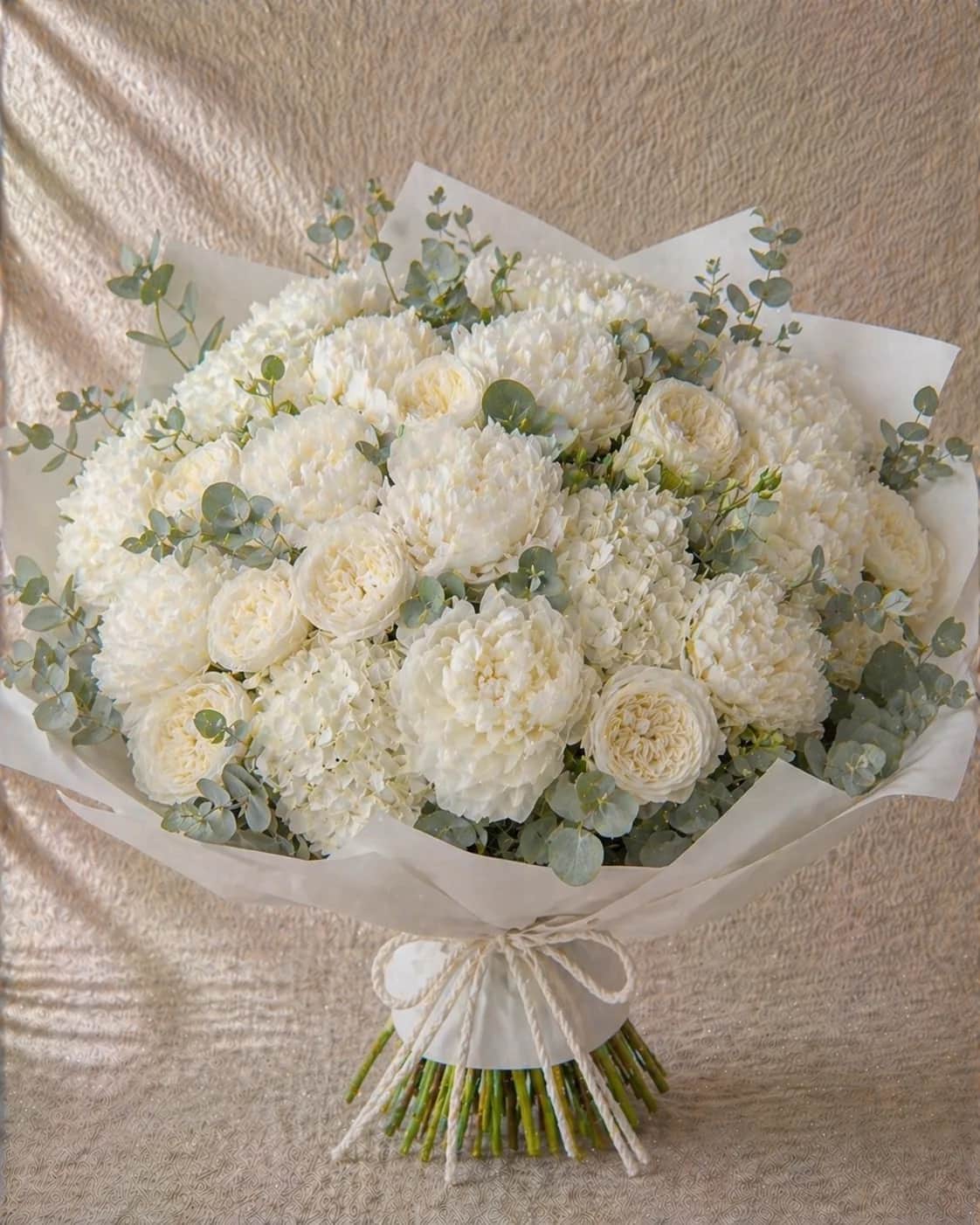 Blanche XL